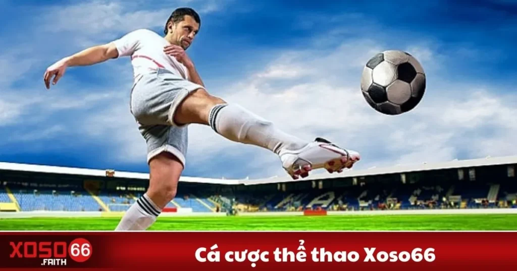 Cá Cược Thể Thao Xoso66 - Cách Chơi Và Cách Đặt Cược 6 Cá Cược Thể Thao Xoso66 - Cách Chơi Và Cách Đặt Cược
